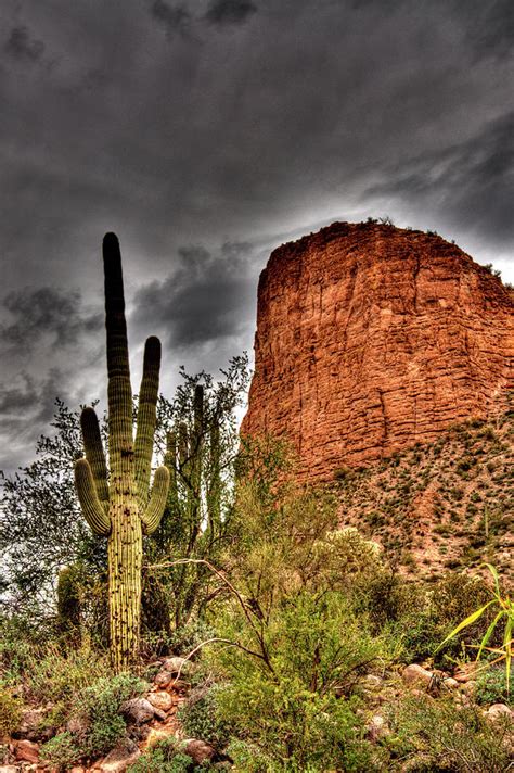 Arizona Desert Rain Photograph by Mark Valentine - Fine Art America