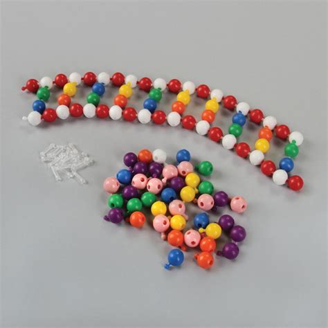 DNA Simulation Beads Set | Carolina Biological Supply