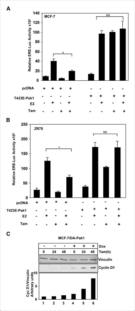 Pak1 Activation Inhibits Tamoxifen Action A And B Mcf 7 And Zr75