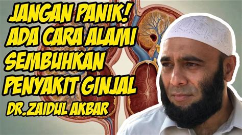 Jangan Panik Ada Cara Alami Sembuhkan Penyakit Ginjal Dr Zaidul