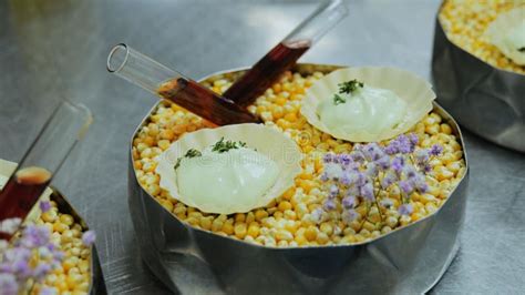 Sobremesa De Peixe Do Cozinheiro Cozinheiro Prepara Prato De Peixe