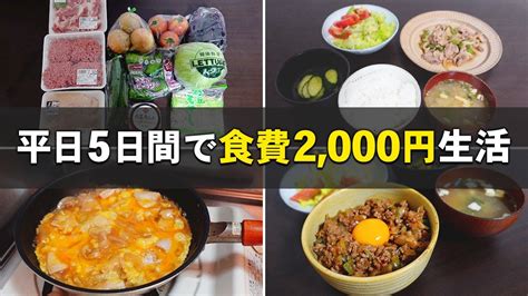 【食費節約術】一人暮らし社会人の平日5日間の自炊と買い物記録 Youtube