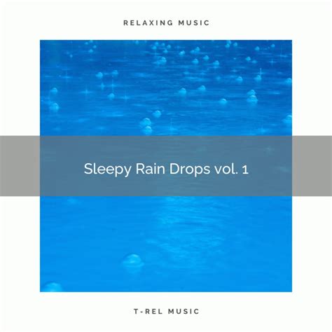 Calming Rain Drops Noises For Chill Out Pt Song And Lyrics By