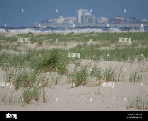 beach of juist Stock Photo - Alamy