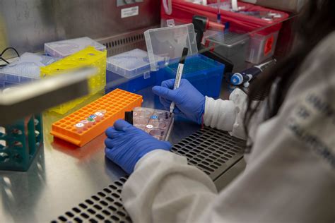 Federal judge orders Trump administration to restore $500M of UCLA