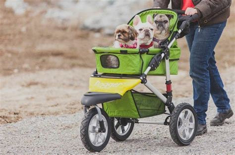 Mejores Modelos De Carritos Para Perros Gu A De