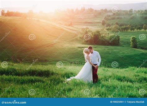 Lovely Couple Bride And Groom Posing In Field During Sunset Lifestyle