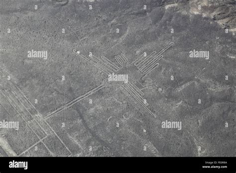 Vista Aérea De Las Líneas De Nazca Colibrí Geoglifo Perú Las Líneas