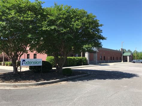 Warrants in Morgan County, Alabama: Understanding Your Options Today 9