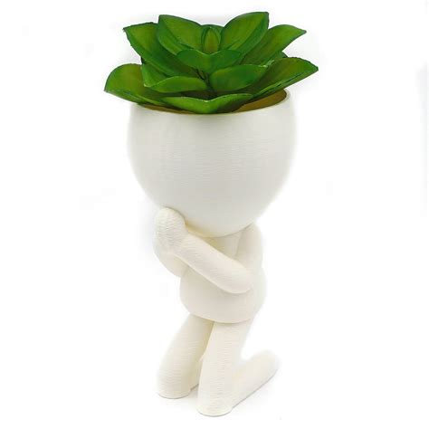 Vaso Suculenta Robert Plant Bob Bbb Decora O Plantas Sala Elo