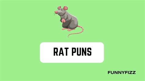 60 Rat Puns