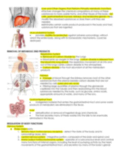 Solution Introduction And Homeostasis Studypool