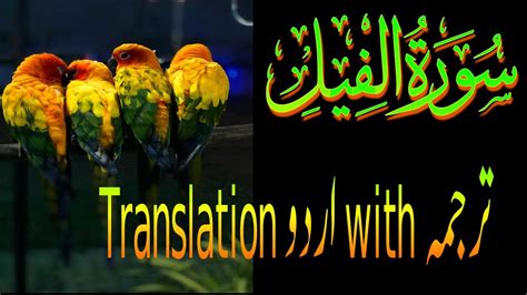 Surah Al Fil Feel With Urdu Translation Complete Best Urdu ترجمہ