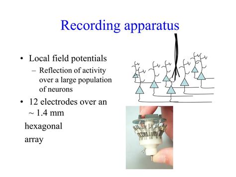 Ppt Conductance Fluctuations From Amorphous Silicon To The Cerebral