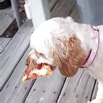 Brcc Blonde J Hrige Kylie Mit Blauen Augen In Den Arsch Gefickt Xhamster