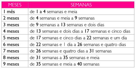 16 Semanas E 5 Dias São Quantos Meses