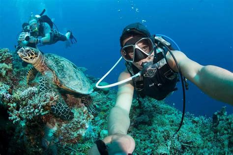 Apo Reef Natural Park – Sablayan