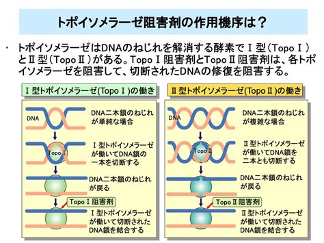 がん化学療法入門 倫理教材lab （ラボ）