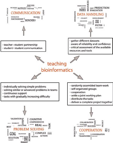 Competences and skills developed during the bioinformatics course by ...