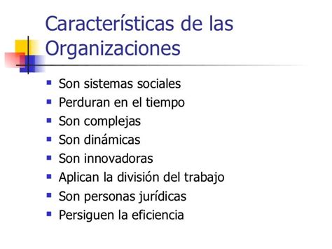 Caracteristicas De Las Organizaciones