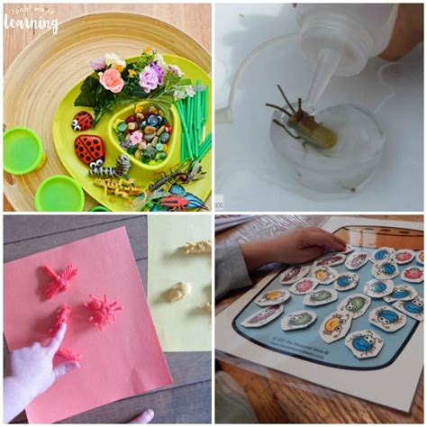 25 Insect Activities for Kids - Look! We're Learning!