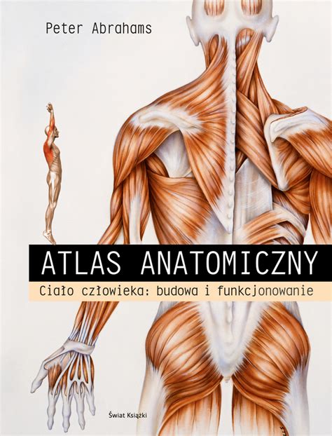 Atlas Anatomiczny Cia O Cz Owieka Budowa I Funkcjonowanie Peter