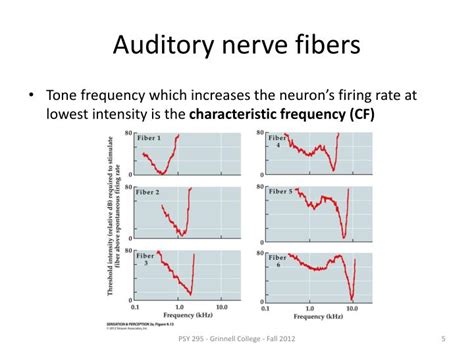 PPT Auditory Physiology 2 PowerPoint Presentation ID 2437931