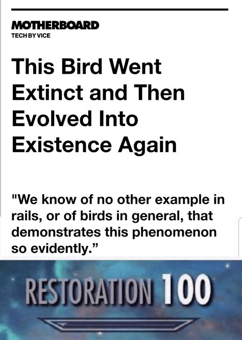 The ultimate comeback : r/wholesomememes