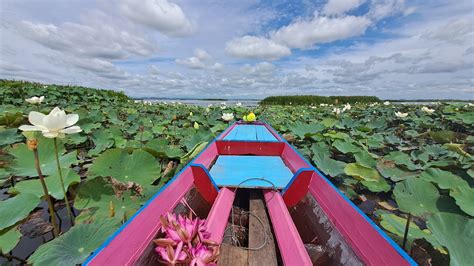 Visiter Phatthalung En Famille Les P Tits Covoyageurs