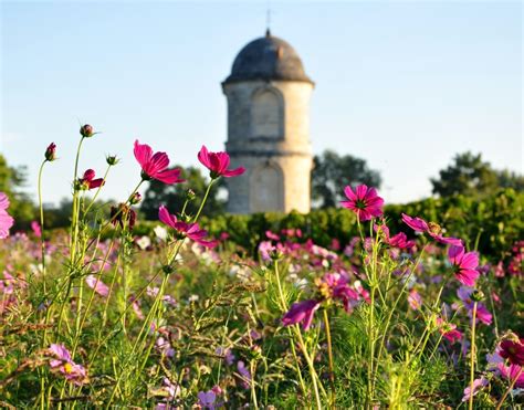 Chateau De Portets Best Of Wine Tourism