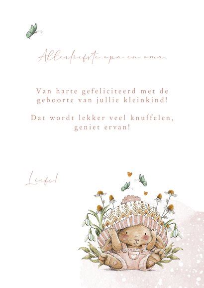 Felicitatiekaart Geboorte Kleinkind Met Lief Kaartje Go