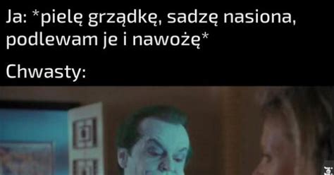 Jak ja nie cierpię ich wyrywania Jeja pl