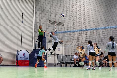 Photos Transpacific Volleyball Championships Hawaii Sports Radio Network