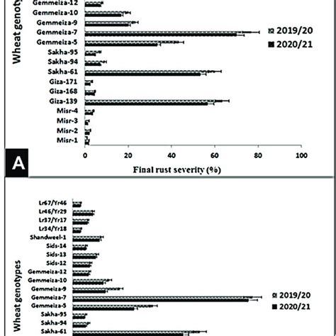 Final Rust Severity A And Audpc B Of Wheat Genotypes Against