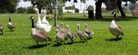 Best Entourage Images On Pholder Entourage ROCK And History Porn