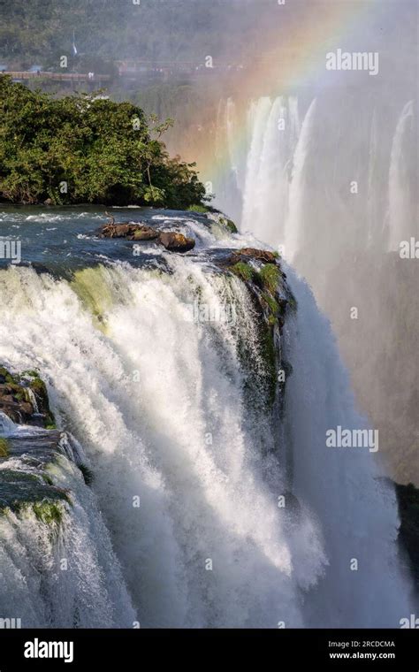 Beautiful view to atlantic rainforest waterfalls in Iguassu National Park, border of Brazil and ...