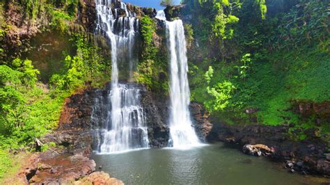 Unique Travel to Bolaven Plateau, Laos - Blank Canvas