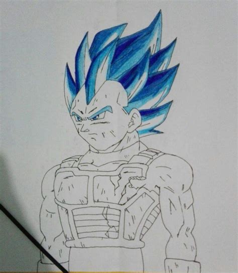 Detalles Vegeta Ssj Blue Para Dibujar Ltima Camera Edu Vn