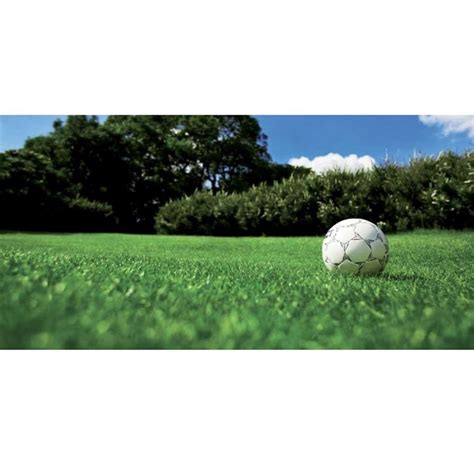 Travní osivo pro vysokou zátěž DLF Turfline SPORT 1 kg | DOLTAK