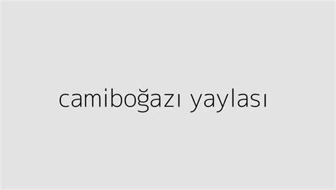 camiboğazı yaylası holitera blog