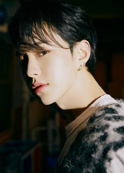 Top 999+ Hoshi Wallpaper Full HD, 4K Free to Use