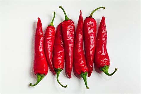 Cayenne Pepper Plant: Possesses Excellent Health Benefits