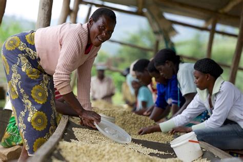 Des Femmes Ravivent Lespoir Au Rwanda Par Lentremise Du Caf