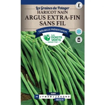 Haricot Nain Argus Extra Fin Sans Fil Les Doigts Verts Jardinerie Latour