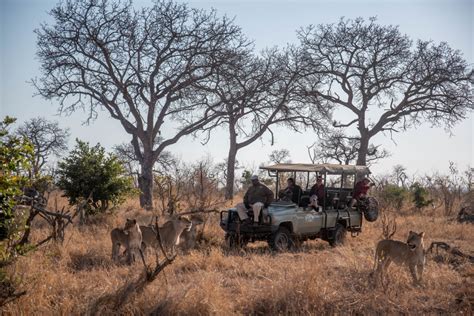 Greater Kruger Exclusive Safari Expedition 5 Day Safari With Us