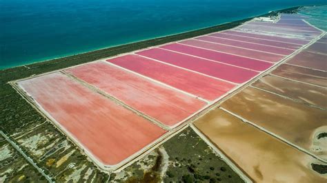 Le lagon rose du Yucatán au Mexique