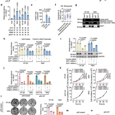 Identification Of Limp As An E F Responsive Lncrna That Selectively