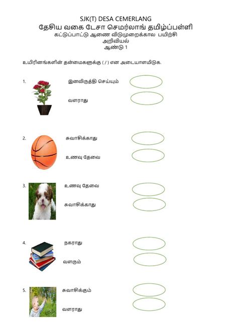 உயரனஙகளன தனமகள worksheet Teacher cartoon German language