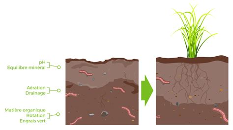 D Velopper La Biologie Du Sol Pour Un Sol Vivant Abris Services Plus