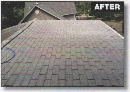 The Vital Importance Of Professional Roof Cleaning Roof Cleaning